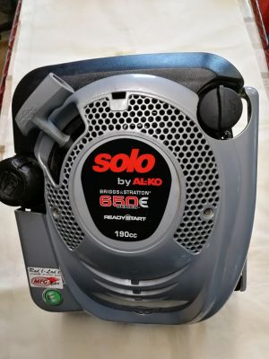 Briggs und Stratton Motor Serie 650 mit Ready Start